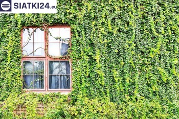 Siatki Koluszki - Siatka z dużym oczkiem - wsparcie dla roślin pnących na altance, domu i garażu dla terenów Koluszki